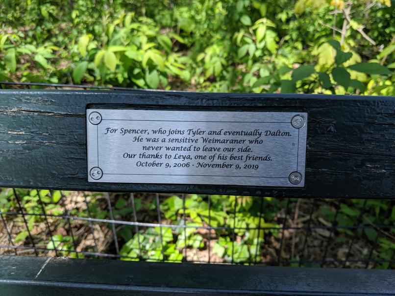 I saw this bench in Central Park