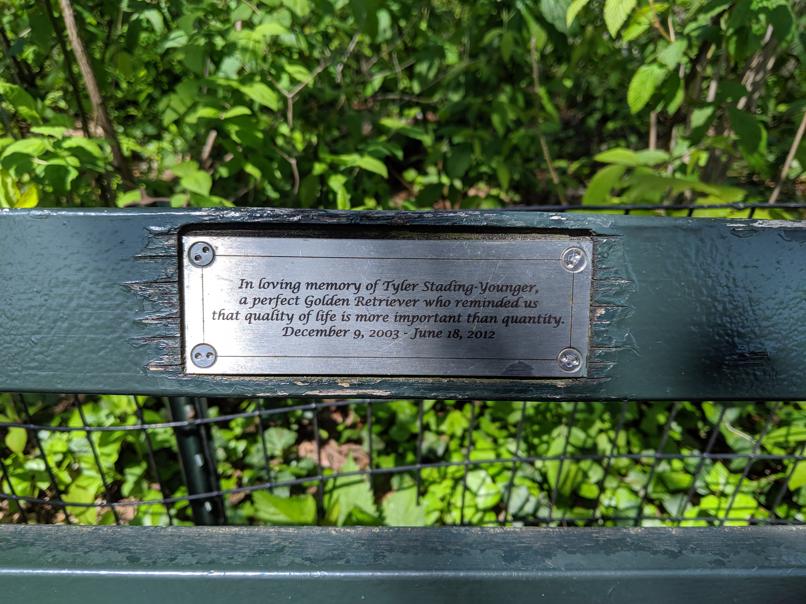 I saw this bench in Central Park