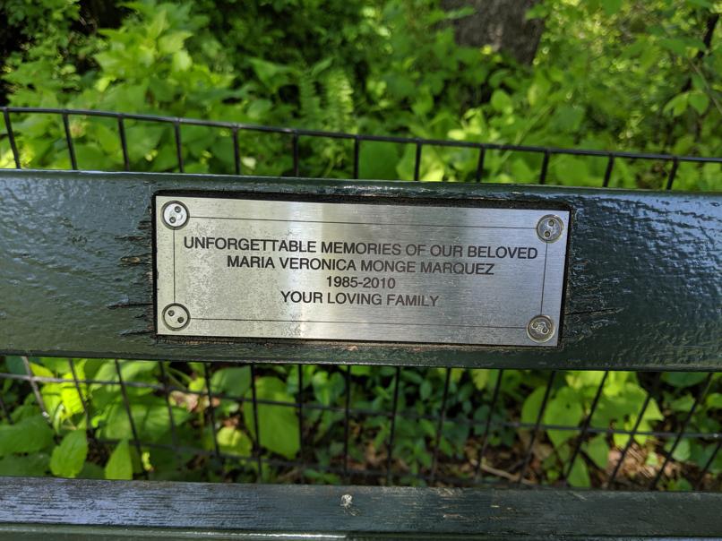 I saw this bench in Central Park