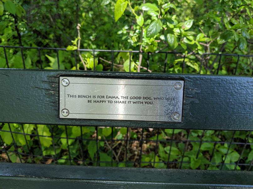 I saw this bench in Central Park