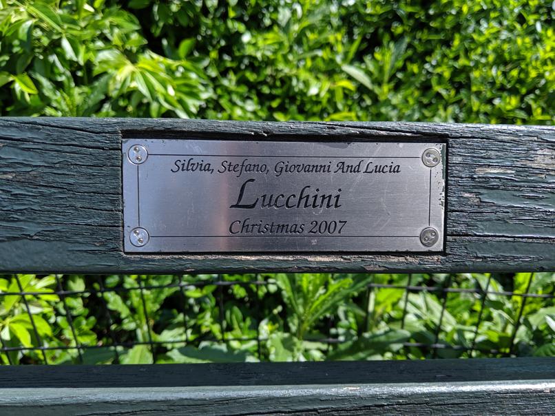 I saw this bench in Central Park