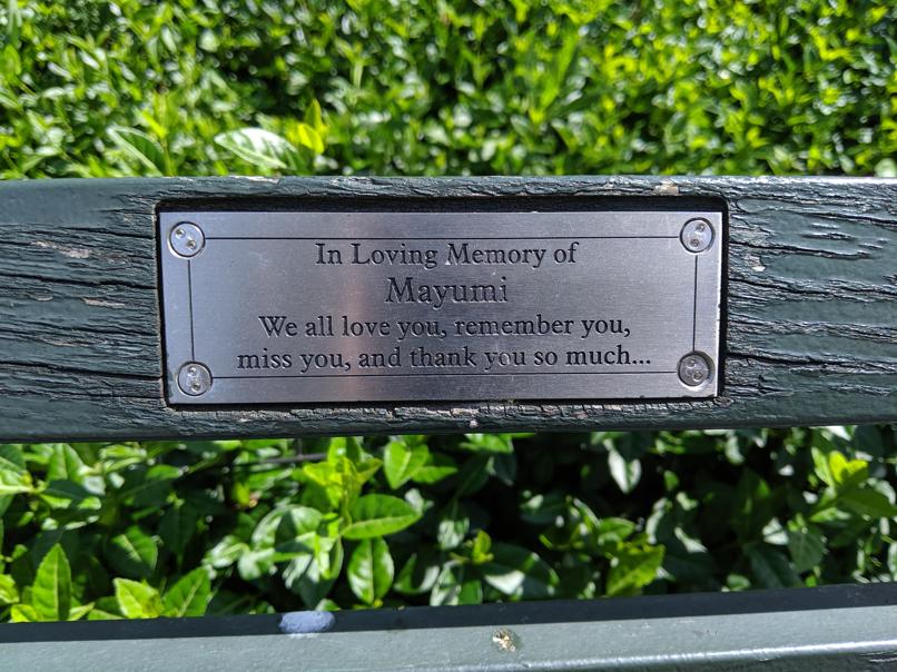 I saw this bench in Central Park