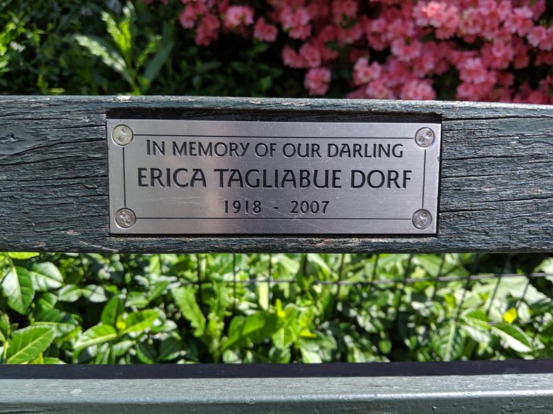 I saw this bench in Central Park