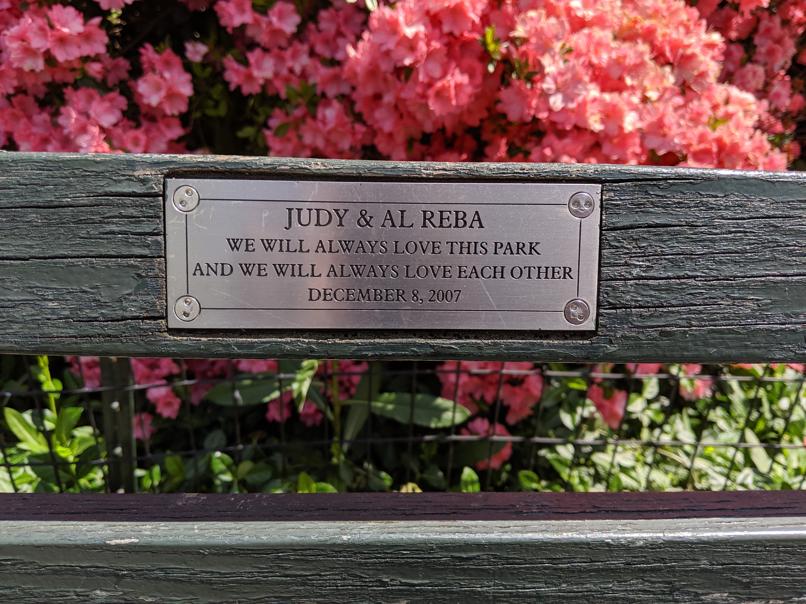 I saw this bench in Central Park