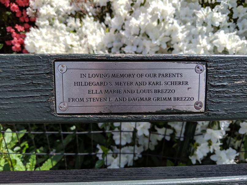 I saw this bench in Central Park