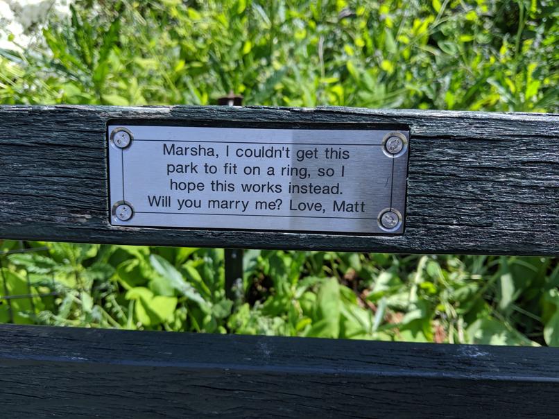 I saw this bench in Central Park