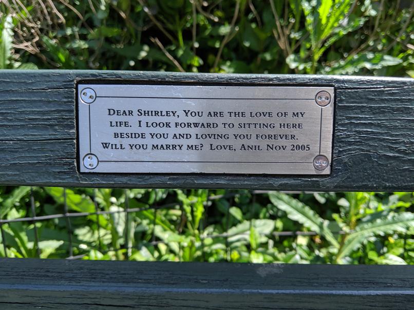 I saw this bench in Central Park