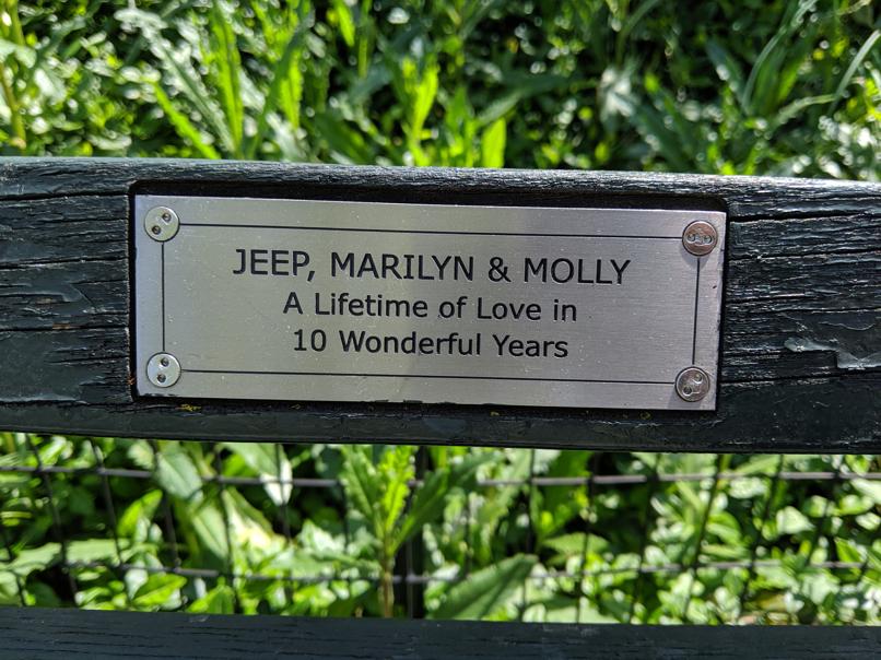 I saw this bench in Central Park