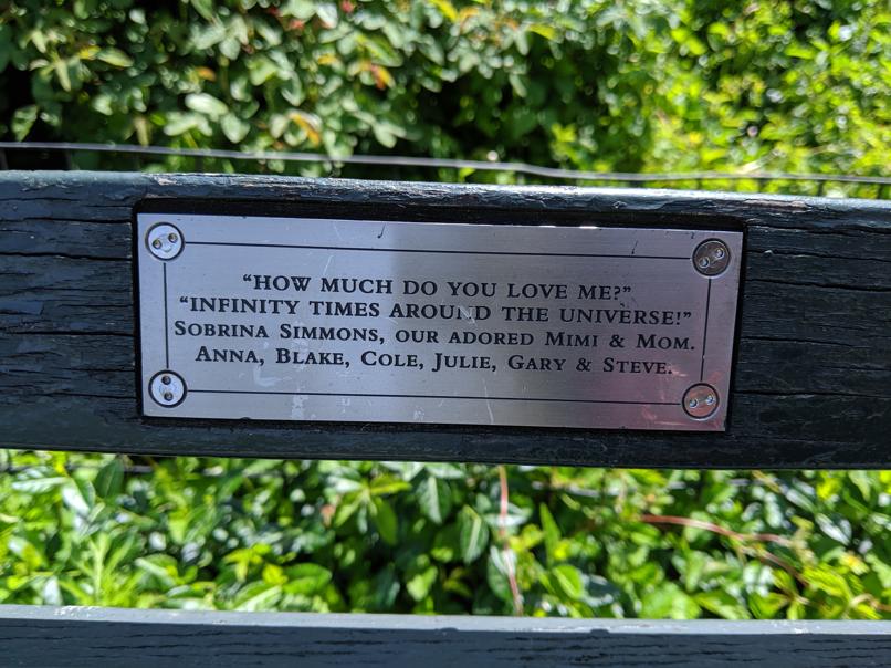 I saw this bench in Central Park