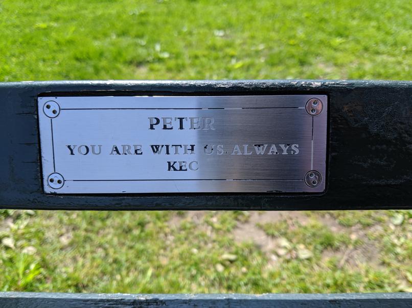 I saw this bench in Central Park