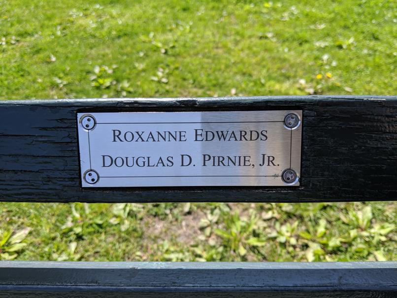 I saw this bench in Central Park