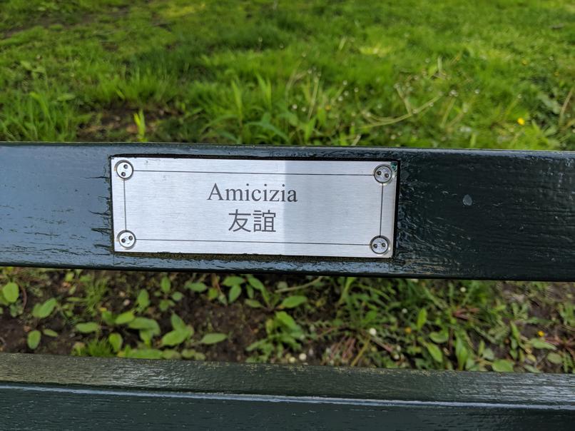 I saw this bench in Central Park