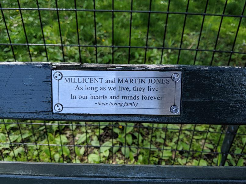 I saw this bench in Central Park