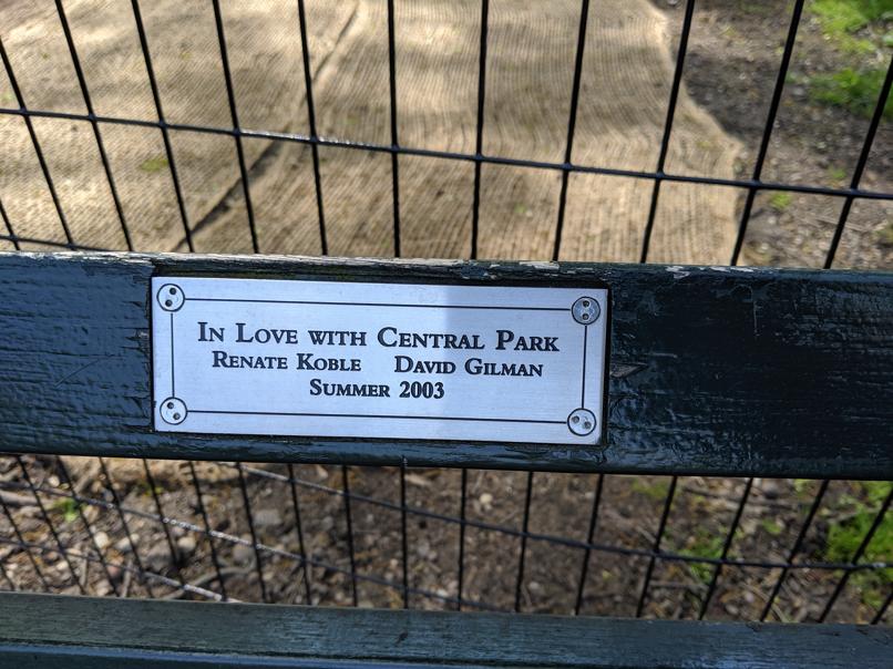 I saw this bench in Central Park