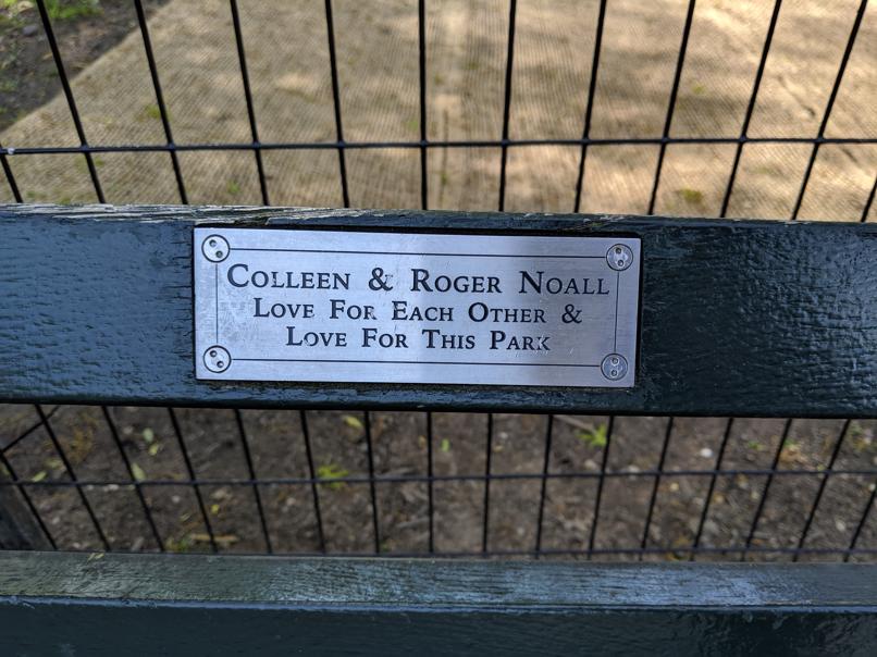 I saw this bench in Central Park