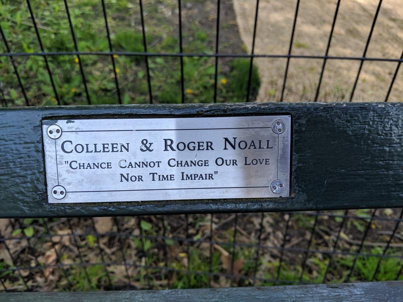 I saw this bench in Central Park