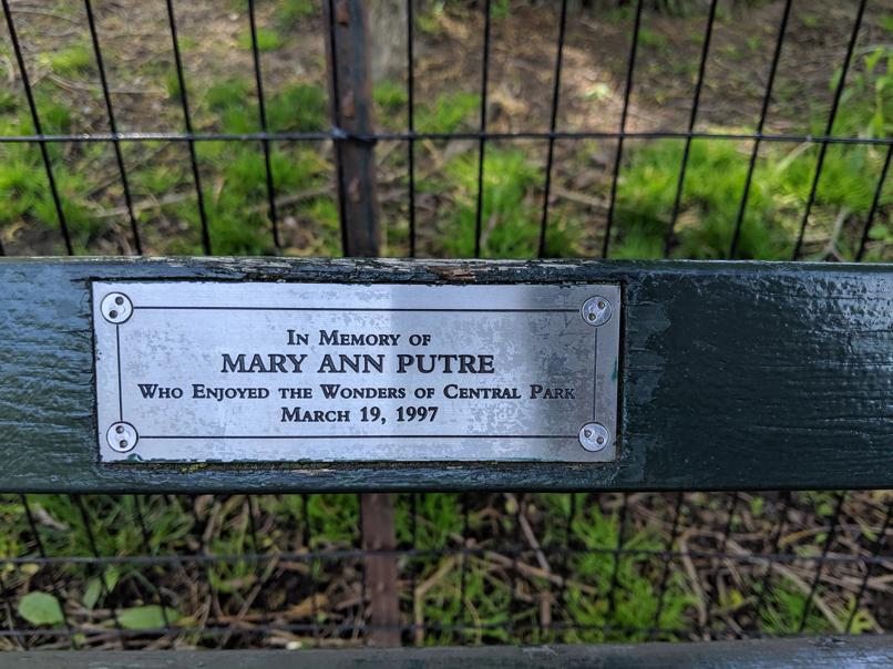 I saw this bench in Central Park