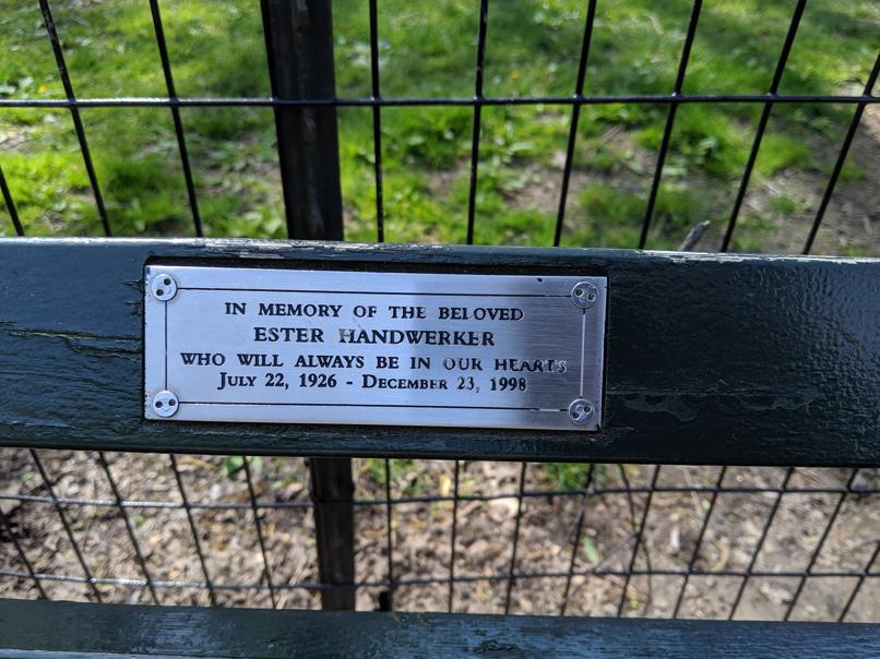 I saw this bench in Central Park