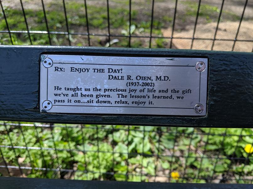 I saw this bench in Central Park