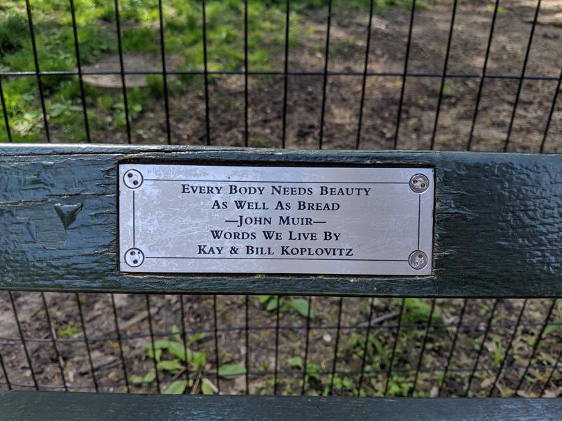 I saw this bench in Central Park