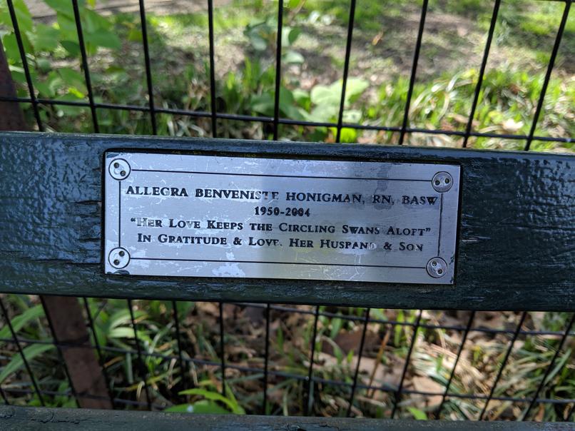 I saw this bench in Central Park