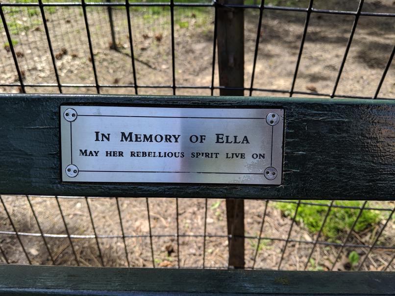 I saw this bench in Central Park