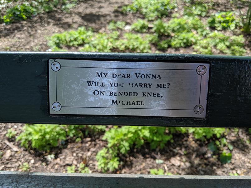 I saw this bench in Central Park