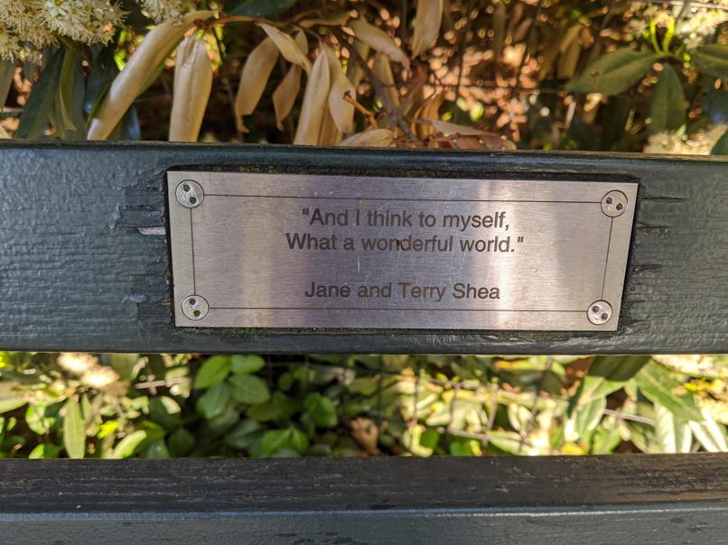 I saw this bench in Central Park