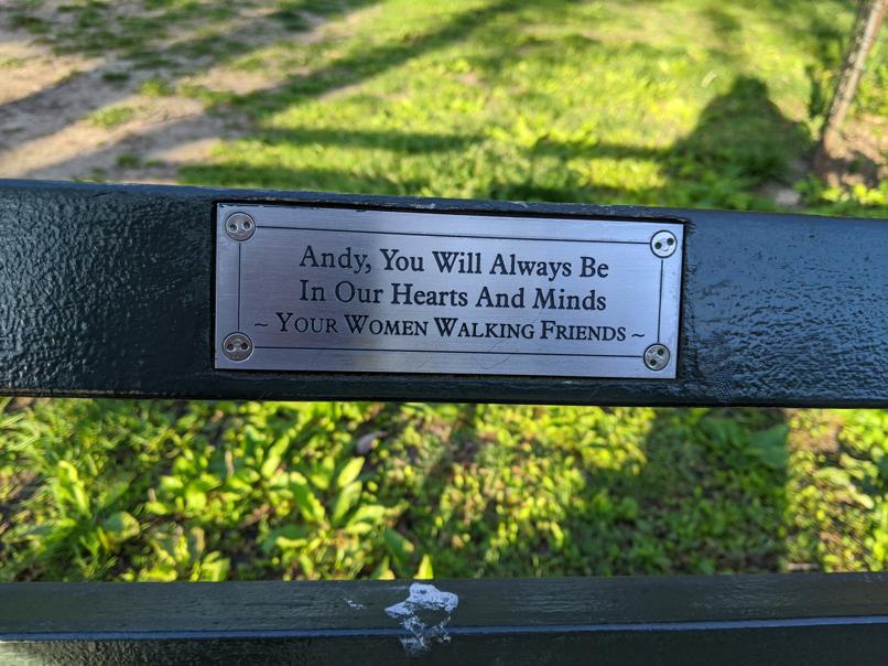 I saw this bench in Central Park