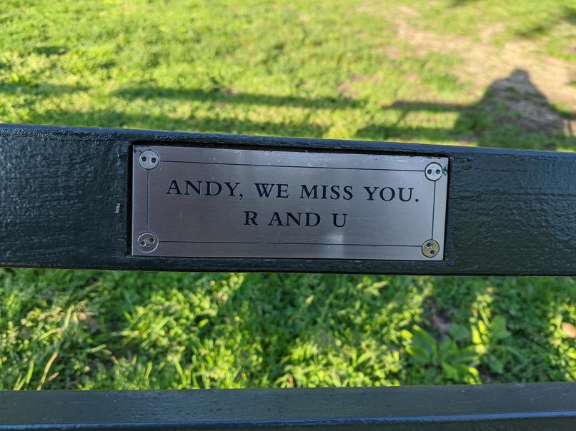 I saw this bench in Central Park