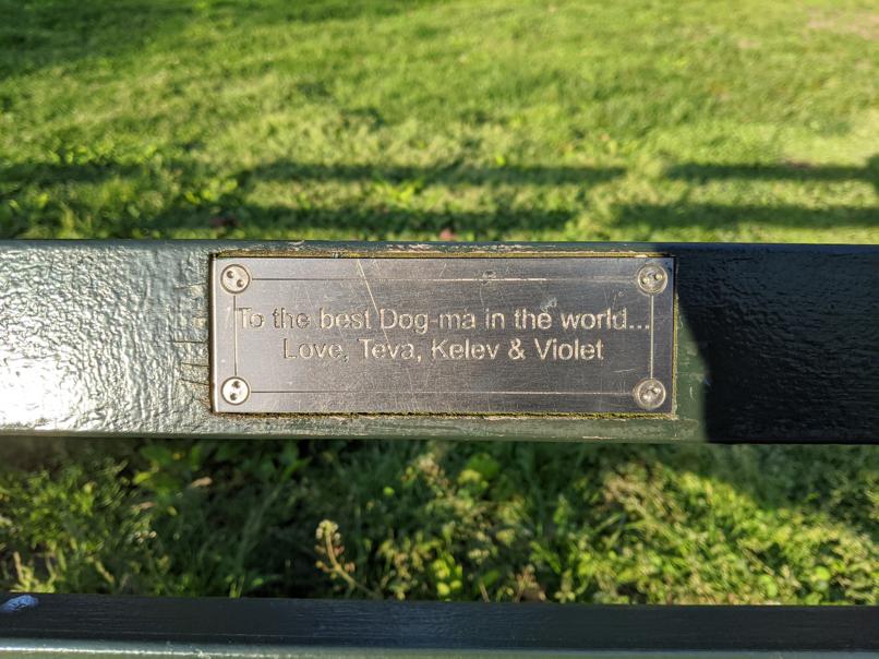 I saw this bench in Central Park