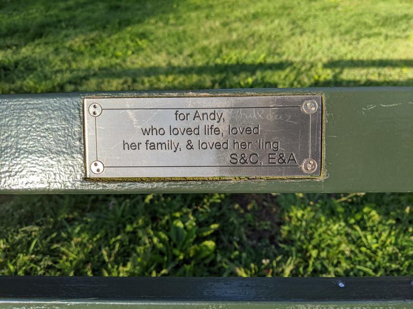 I saw this bench in Central Park