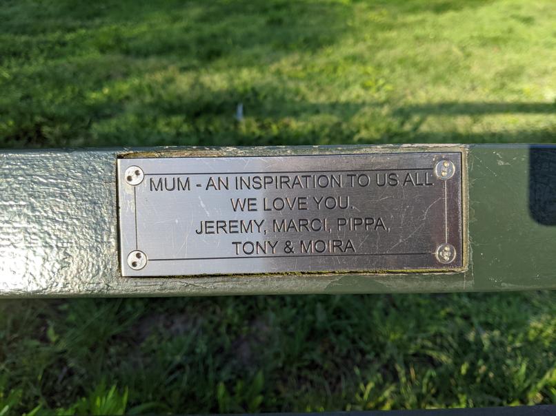 I saw this bench in Central Park