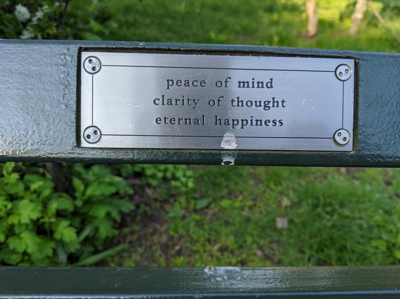 I saw this bench in Central Park