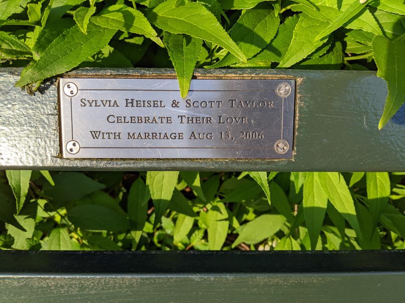 I saw this bench in Central Park