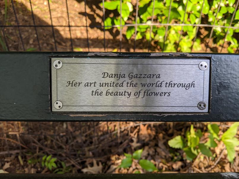 I saw this bench in Central Park