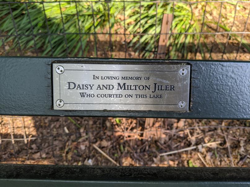 I saw this bench in Central Park