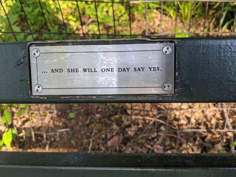 I saw this bench in Central Park