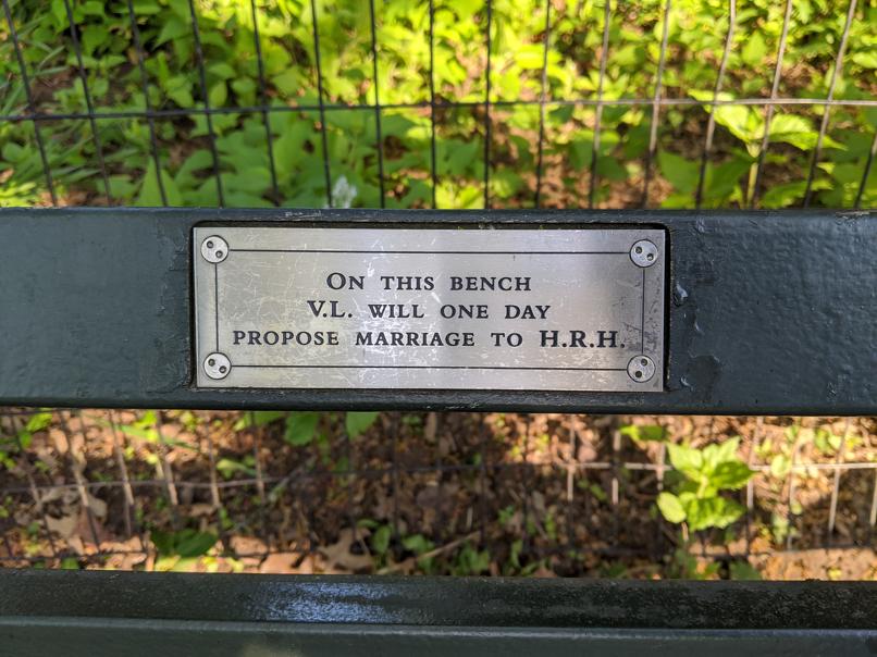 I saw this bench in Central Park