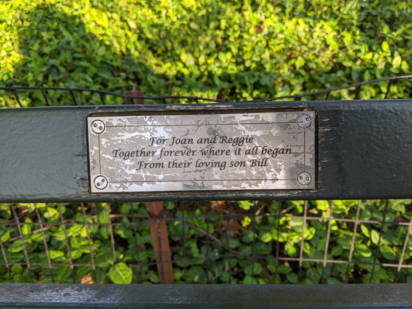 I saw this bench in Central Park