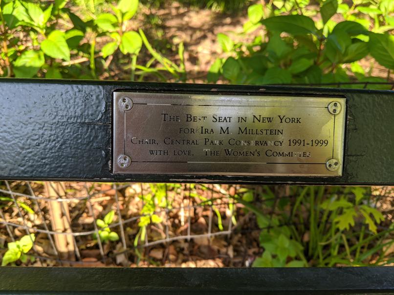 I saw this bench in Central Park