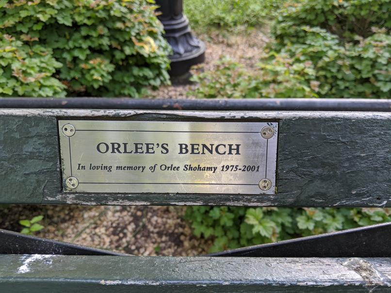 I saw this bench in Central Park