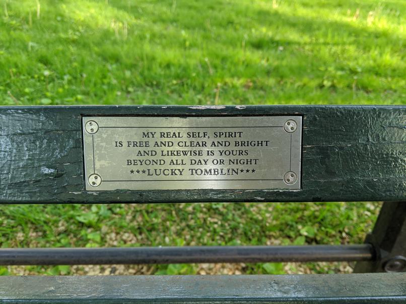 I saw this bench in Central Park