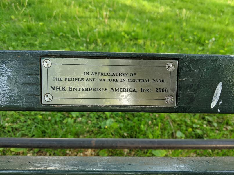 I saw this bench in Central Park