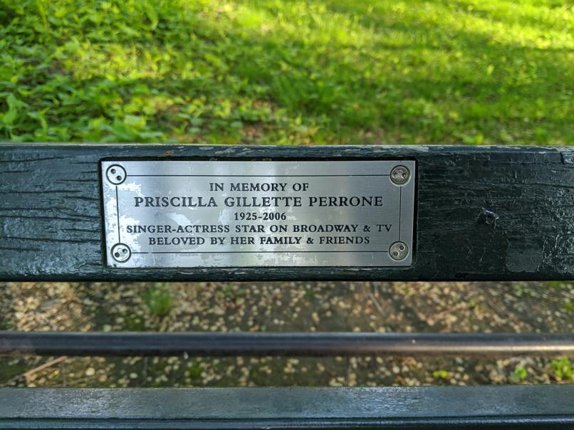 I saw this bench in Central Park