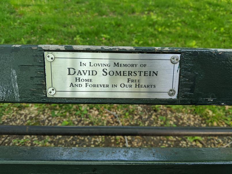 I saw this bench in Central Park