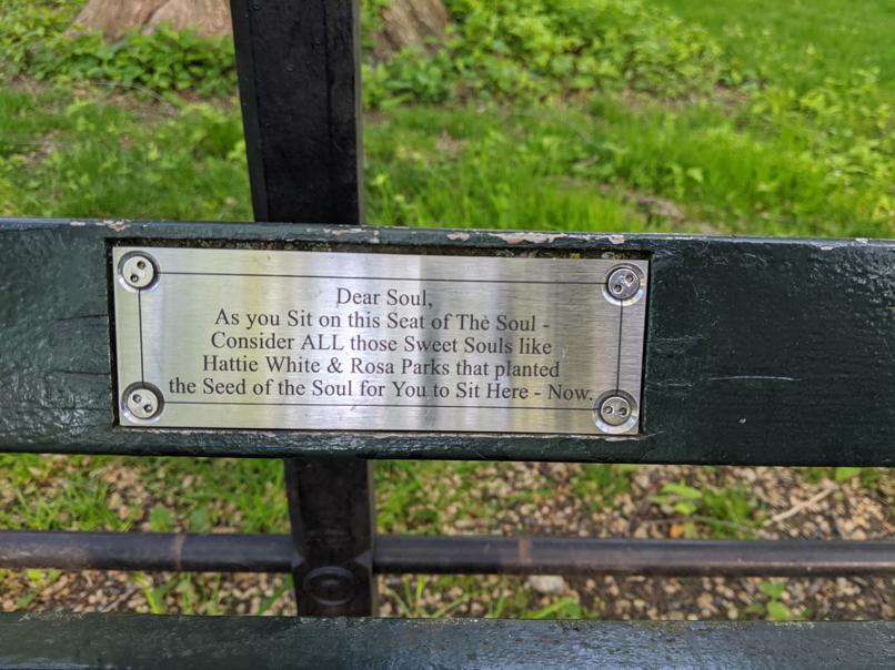 I saw this bench in Central Park