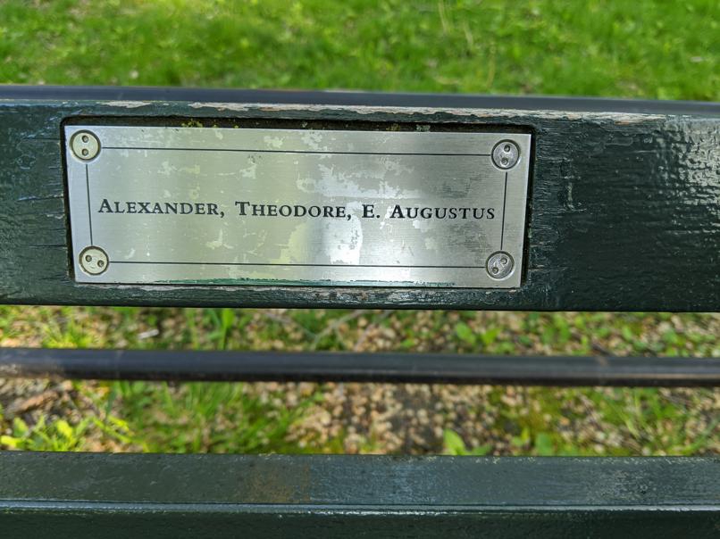 I saw this bench in Central Park