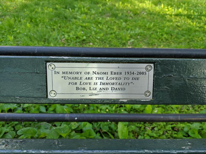 I saw this bench in Central Park