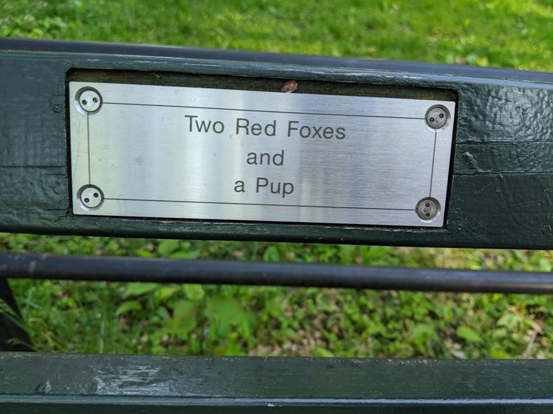 I saw this bench in Central Park